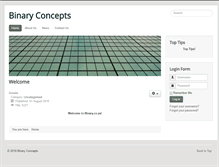 Tablet Screenshot of binary.co.za